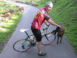 Hellboyhellgoat in Hellboys Heimkehr